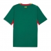 Camiseta Senegal Segunda Equipación Replica Mundial 2026 mangas cortas